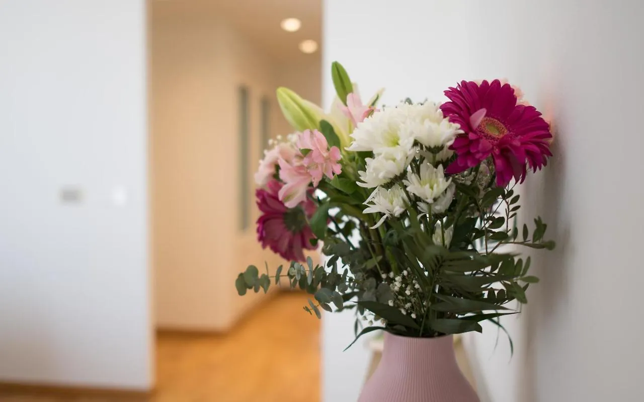 Apartment Rey De Sevilla Flats - Arenal Spain